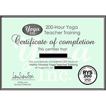 Private Vinyasa Yoga Class Singapore Certified by Yoga Inc